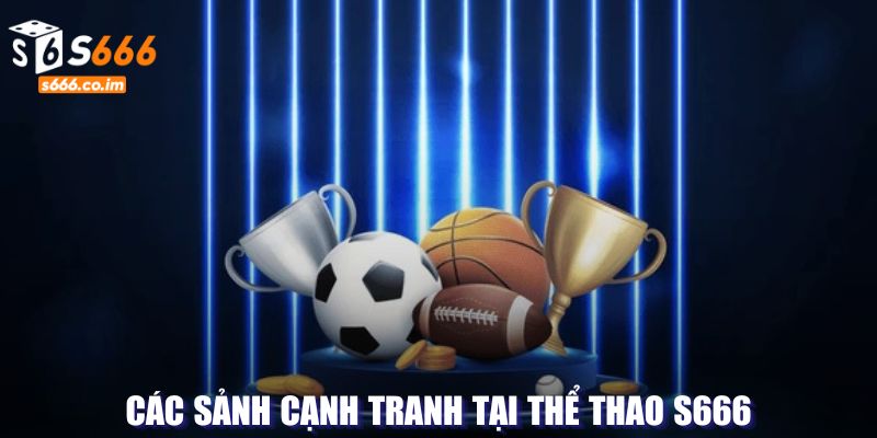 Thể thao S666 - Sự Lựa Chọn Hàng Đầu Trong Các Giải Đấu Lớn 1 Các sảnh cạnh tranh tại thể thao S666